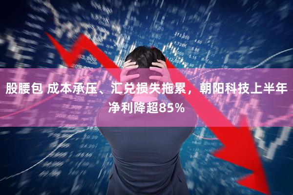 股腰包 成本承压、汇兑损失拖累，朝阳科技上半年净利降超85%