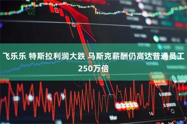 飞乐乐 特斯拉利润大跌 马斯克薪酬仍高达普通员工250万倍